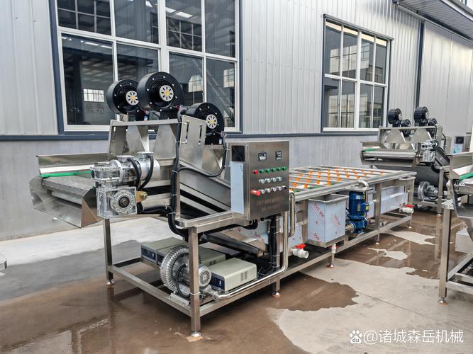 超声波蔬菜清洗机 深层洁净无残留，助力蔬菜干制品加工省工增效