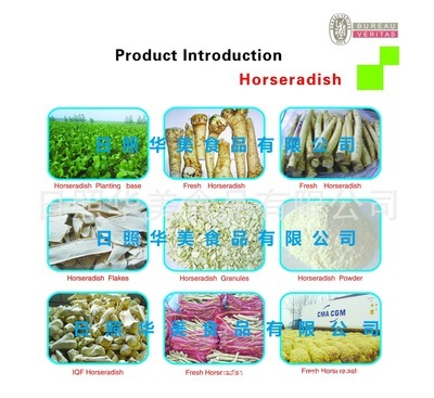 【辣根产品现货优质供应】价格,厂家,图片,蔬菜干制品,日照华美食品-