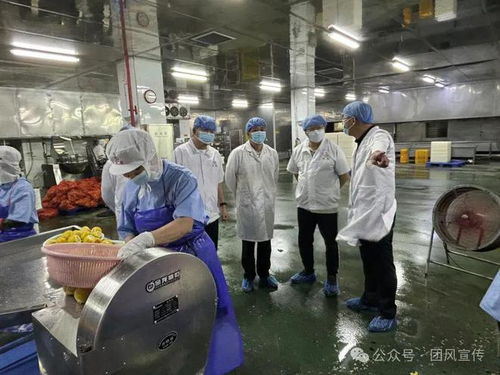 童国锋率队赴福建推介蔬菜干制品加工项目 助力农产品加工业高质量发展